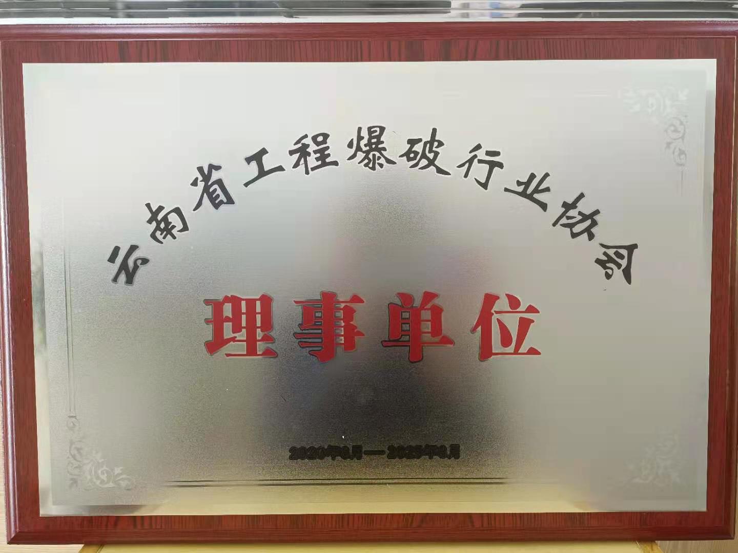 云南省工程爆破行業協會理事單位